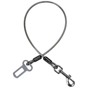 Chew Dog Car Restraint, Sturdy Stainless Steel Rope with Vinyl Coating for Safe Travel