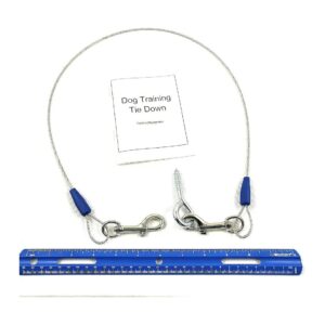 Chew-Proof 3 Foot Long Dog Training Tie-Out System with Built-in Eye Screw