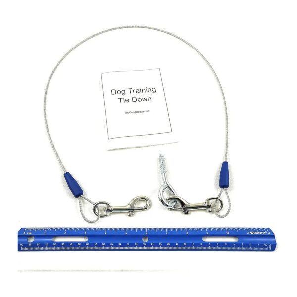 Chew-Proof 3 Foot Long Dog Training Tie-Out System with Built-in Eye Screw