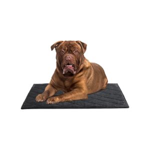 Chew Proof Small Dog Bed for Crate