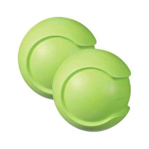 Chew Toss Pass and Carry Squeaky Rubber Toy for Medium Breed Dogs