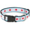 Chicago Flag Polyester Dog Collar 1" Wide with Plastic Buckle for Medium Pet