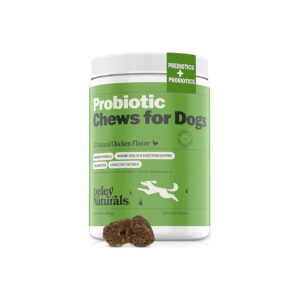 Chicken Flavored Digestive Probiotics for Dogs with Anal Gland Issues