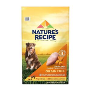 Chicken, Sweet Potato, and Pumpkin Recipe Grain Free Dry Dog Food