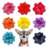 Chiffon Dog Charms Flower Collars for Cats and Dogs Adjustable Accessories Pack of 8