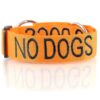 Choke Dog Collar with Embroidered Wording and Anti-Corrosion Triggers