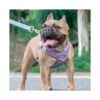 Choke-Free Adjustable Dog Harness with Air Mesh Straps for Dogs and Cats