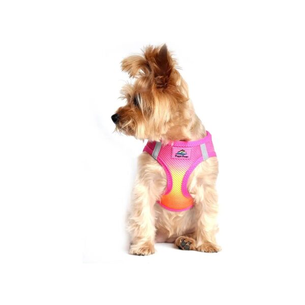 Choke Free Step In Dog Harness for Small Dogs in Raspberry Pink American River Color