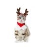 Christmas Cat Clothes Puppy Reindeer Antlers Hat with Xmas Scarf Dog Rabbit Costume