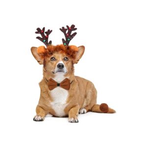 Christmas Dog Costume with Soft Brown Plush Reindeer Ears and Headband Tail