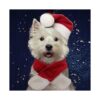 Christmas Pet Costumes Santa Hat and Scarf for Cats and Small Dogs