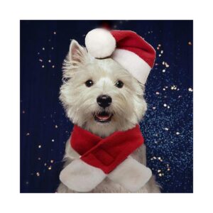 Christmas Pet Costumes Santa Hat and Scarf for Cats and Small Dogs