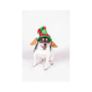 Christmas Pet Elf Hat with Ears Costume for Large Size Medium Breed Dogs and Cats