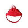 Christmas Red Santa Cap with Ear Holes for Dog Cat Puppy Wear