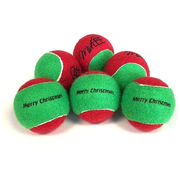 Christmas Squeaker Tennis Balls for Dogs Sensory Toy Pack 6