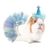 Christmas and Birthday Party Princess Costume for Small Animals