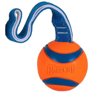 ChuckIt Ball Tug Toy for Large Dogs 60-100 Pounds with Easy Throw and Catch