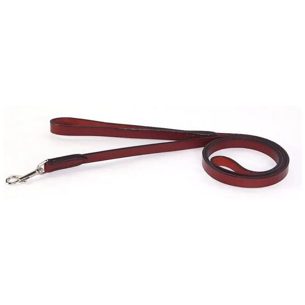 Classic American-Style Leather Training Dog Lead in Burgundy 5/8'' x 6 '