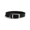 Classic Black Leather Dog Collar with Buckle Closure Size 5