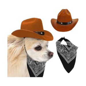 Classic Coffee Colored Cowboy Hat and Bandana Scarf for Large Dogs