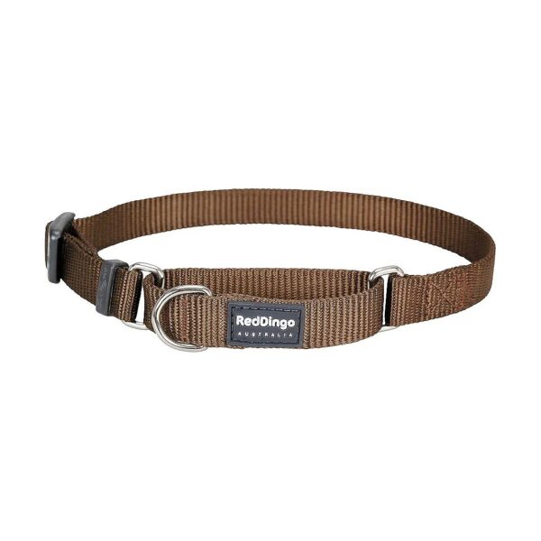 Classic Design Dog Collar with Adjustable Size Range