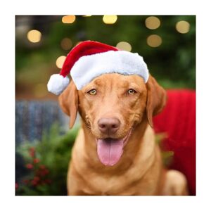 Classic Design Dog Santa Hat for Christmas Party and Holiday Photos