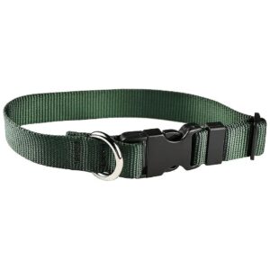 Classic Forest Green Adjustable Medium Dog Collar 1 Inch Wide Nylon Buckle