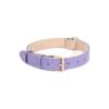 Classic Leather Dog Collar for Small to Large Dogs with Waterproof Inner Layer