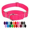 Classic Martingale Style Dog Collar with 1-Inch Width and Hot Pink Color