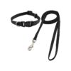 Classic Solid Colors Nylon Dog Leash and Collar Combination for Pet Owners