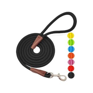 Classic Solid Colors Nylon Rope Dog Leash with Leather Connector and Heavy Duty Clasp