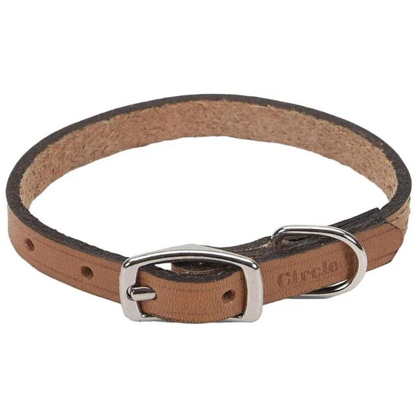 Classic Tan Leather Dog Collar with Circle Pattern for Small to Medium Dogs