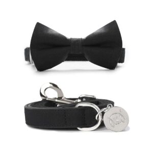 Classy Black Dog Leash and Collar Set with Elegance