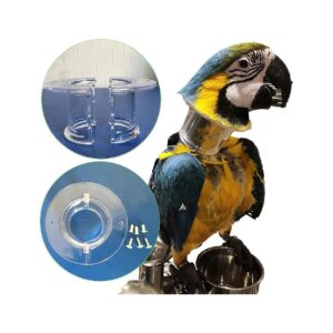 Clear Acrylic Parrot Collar for Parrot Biting Issues and Wound Care Prevention Waterproof