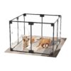 Clear Dog Kennel Cage Playpen for Small Dogs Puppy Indoor Use Black Color