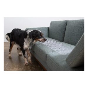 Clear Furniture Protector for Pets - Made in USA with Non-Toxic and Adjustable Features