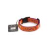 Clemson Tigers Ribbon Pattern Dog Collar for Medium Size Dogs