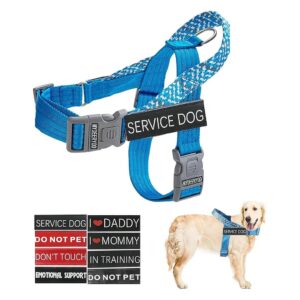 Click Buckles for Small Medium Large Breed Dogs