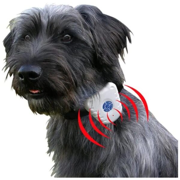 Closed Adjustable Collar for Effective Ultrasonic Dog Bark Training