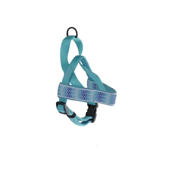 Coastal Inspired Teal Gradient Chevrons Patterned Ribbon Weave Harness