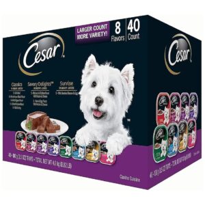 Coat Health Wet Dog Food with 5 Ounce Pouches and 40 Count