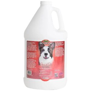 Coconut Fresh Bio-Groom Flea and Tick Prevention Shampoo for Dogs and Cats - 1 Gallon