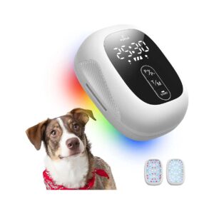 Cold Laser Therapy for Dog Wounds and Skin Infections with Portable Treatment