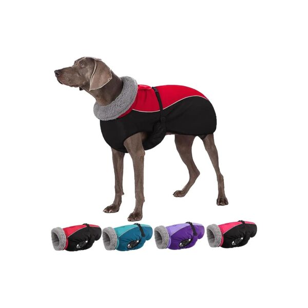 Cold Weather Dog Coat with Reflective Strips and Leash Hole for Small Medium Large Dogs