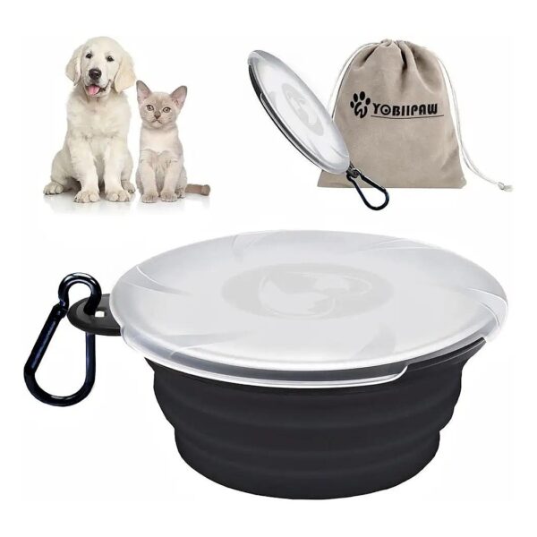 Collapsible Pet Bowl with Storage Bag for Cats and Small Medium Sized Dogs