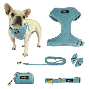 Collar, Bow Tie, and Poop Bag for Small Dogs