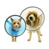 Collar for Small Dogs with Assorted Colors, Safe and Effective Recovery Solution