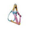 Color Dog Harness for Small Dogs Suitable for Running and Training