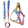 Color Harness and Purple Pink Gradient Leash for Small Dogs and Puppies