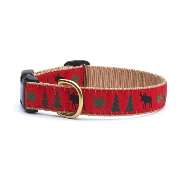 Colored Dog Collar with Brass Hardware - Large Size - Adjustable